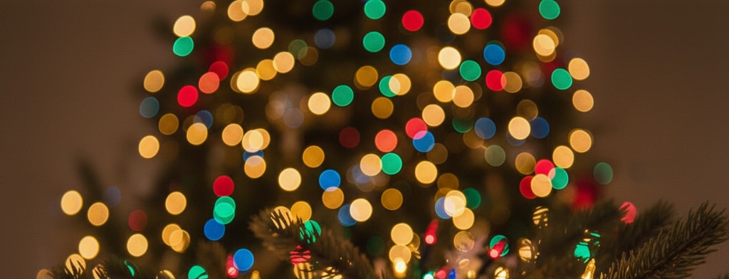 bokeh christmas lights Honolulu